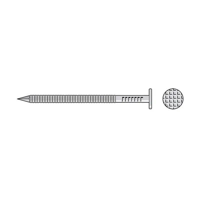 S8Sndtb 2-1/2" Painted Siding Nail – 14-Gauge Stainless Steel, Tan Finish, 25 Lb. Pack 1