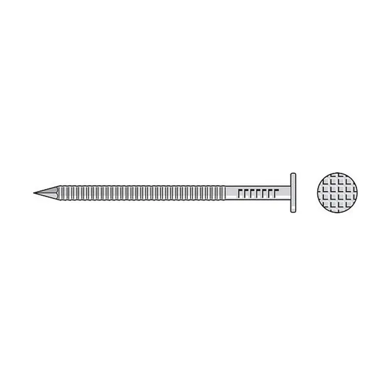 Simpson Strong-Tie S8Sndt1 Painted Siding Nails – 2.5" × 0.092", 14-Gauge Stainless, Tan Finish (1 Lb) 1